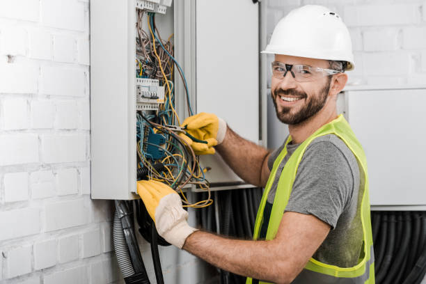 Best Electrical System Inspection  in Fenton, MI