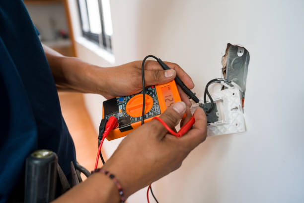 Best Affordable Electrician  in Fenton, MI
